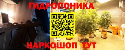 стаф Пугачёв