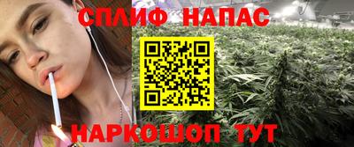 стаф Пугачёв