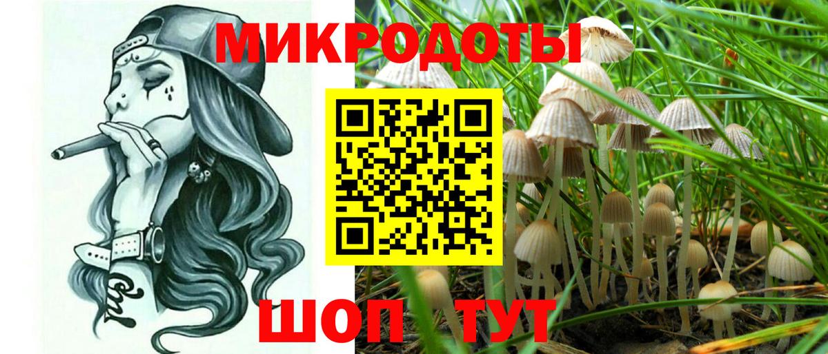 Прохладный  Псилоцибиновые грибы GOLDEN TEACHER  Вход с VPN  Галлюциногенные грибы Magic Shrooms 