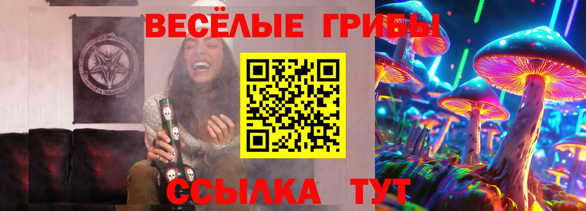 Псилоцибиновые грибы Magic Shrooms Прохладный